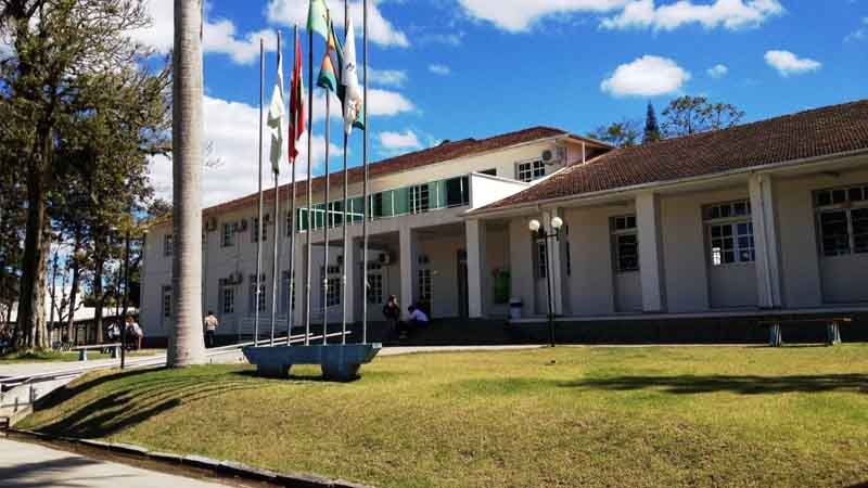 Portfólio
